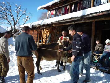 Kurbanlık